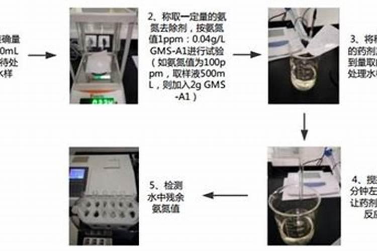 红掌用什么肥料最好