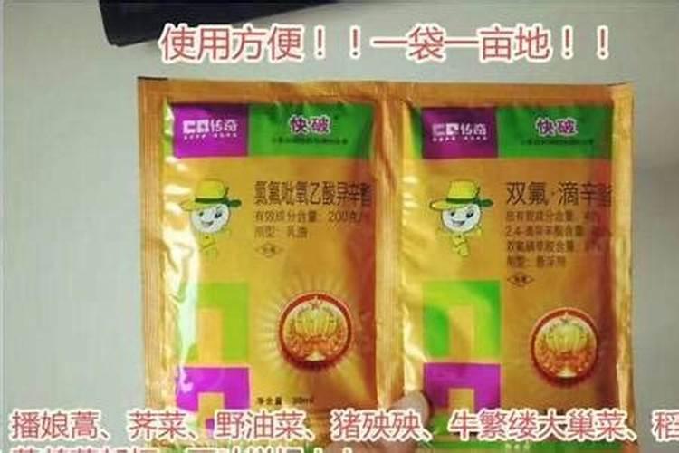 花生初花期喷什么农药