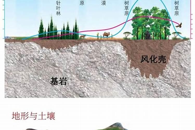 土壤腐殖质由哪三种不同时腐殖质组成？
