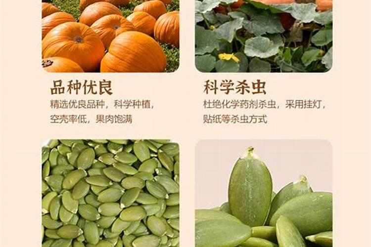 无壳南瓜叶子发黄是什么原因呢？