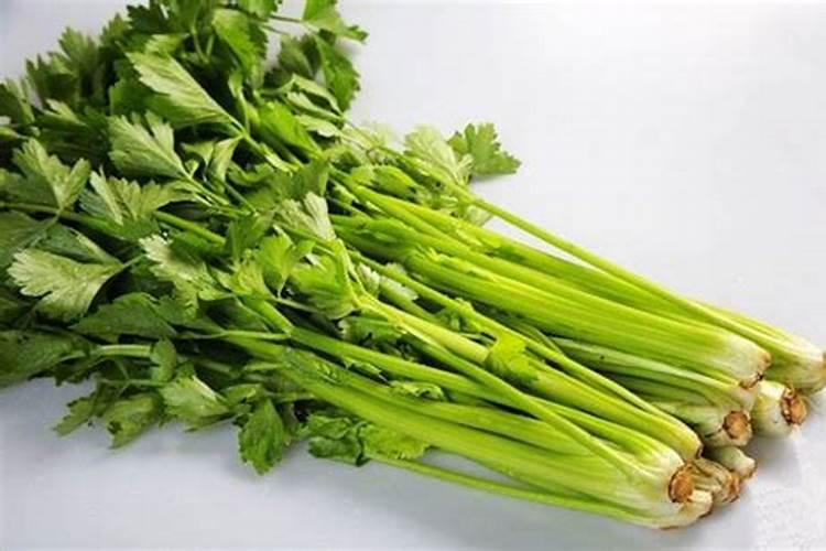 施什么肥料芹菜长得茂盛？