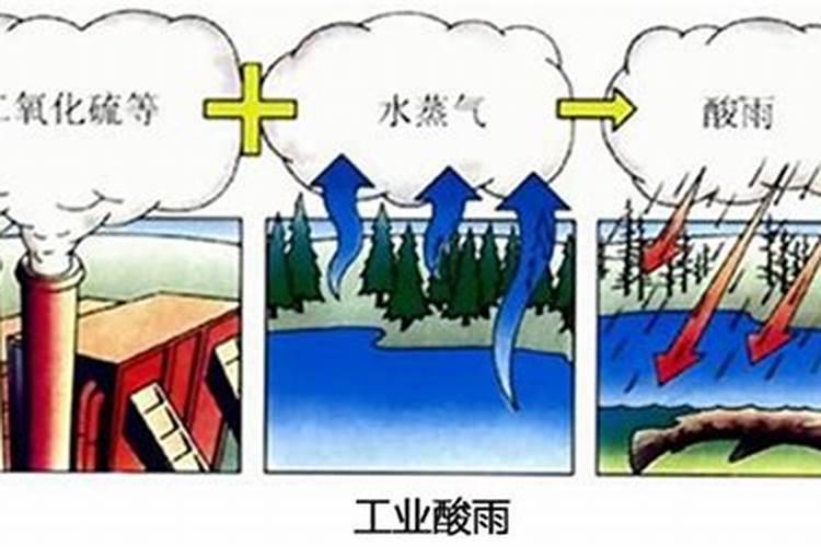 哪些化肥属酸性肥料？