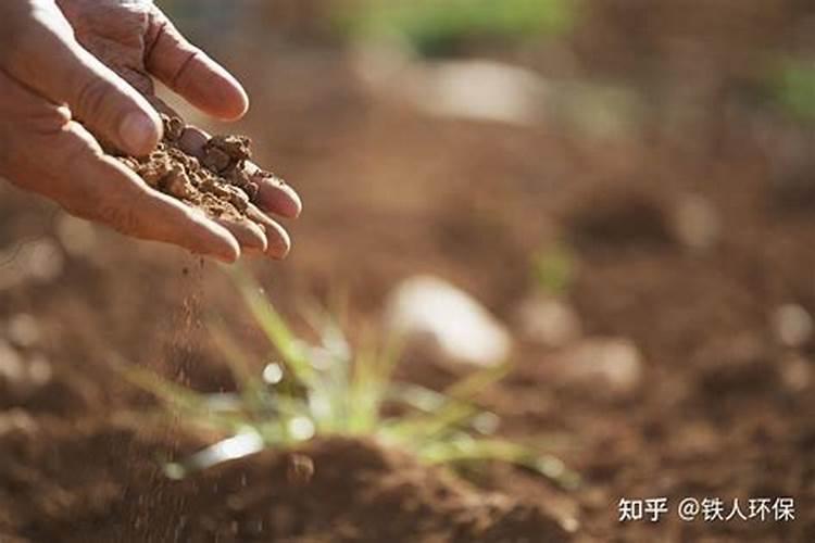 怎么把碱性土壤改变成酸性