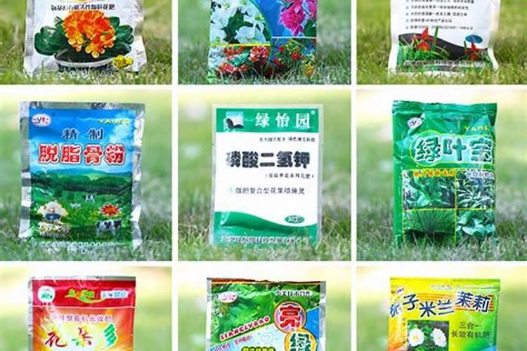 芍药施什么肥最好