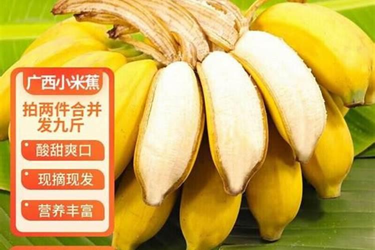 中国的香蕉产地在哪里
