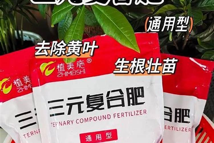复合肥怎么往花上施肥？