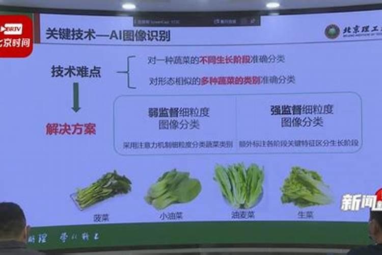 硼肥的使用方法与用量