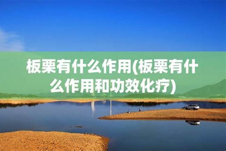 20公分高的板栗树苗可以施肥吗？
