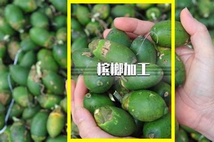 槟榔催花技巧