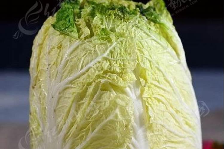 怎样促进大白菜长芯？