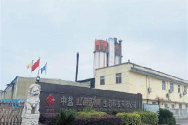 甘蔗专用叶面肥一袋多少钱？增根壮根叶面肥用哪种好？叶面肥用昆仑风