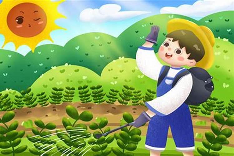 叶面肥什么时候打合适