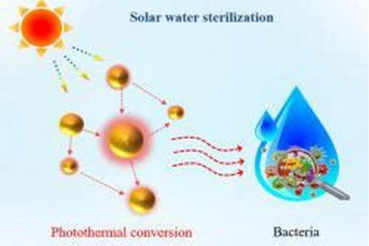叶面为什么要在上午十点前下午四点后喷施叶面肥为什么在上午十点前...