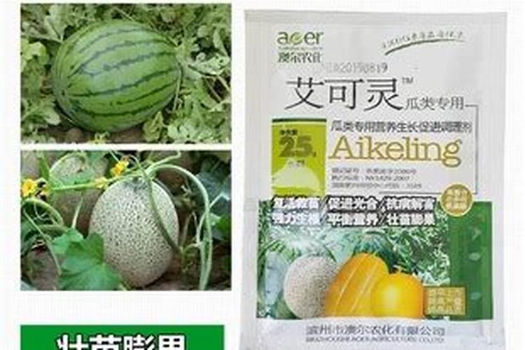 甜瓜结果期如何施肥