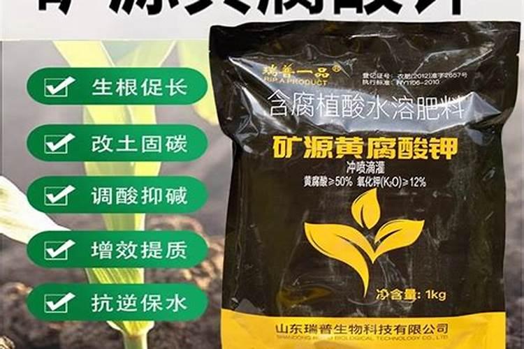 植物移栽用矿源黄腐酸钾与复硝酚钠那个能促进生根？