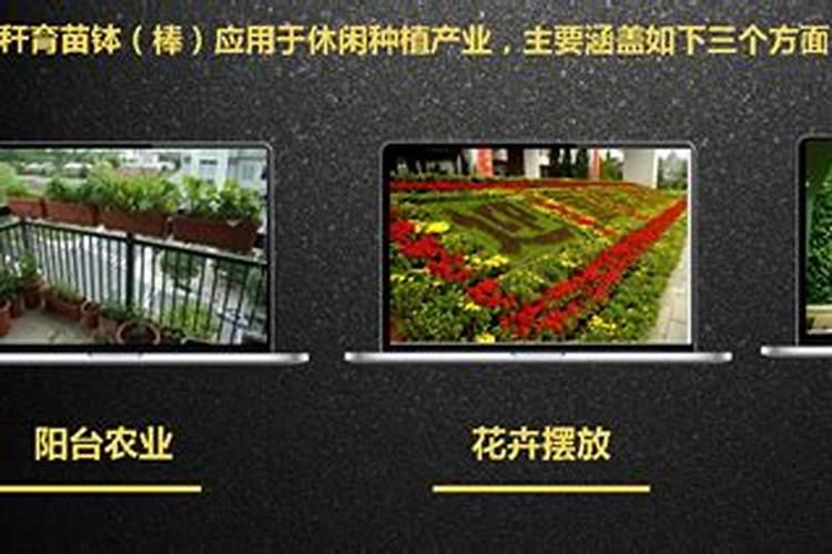 钾肥的作用 钾肥简介