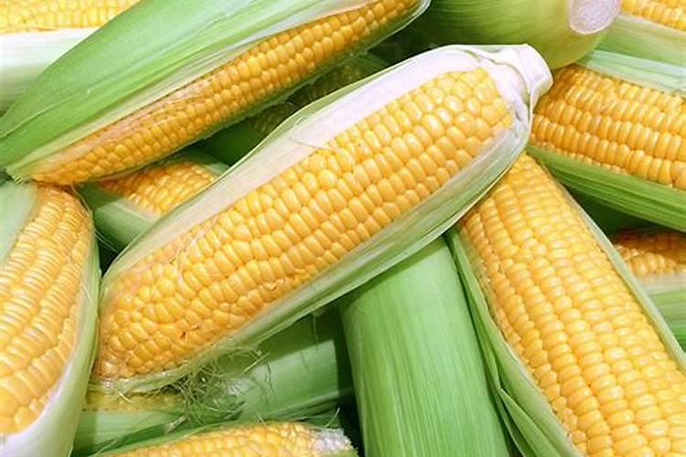 玉米需要什么样的含量肥料