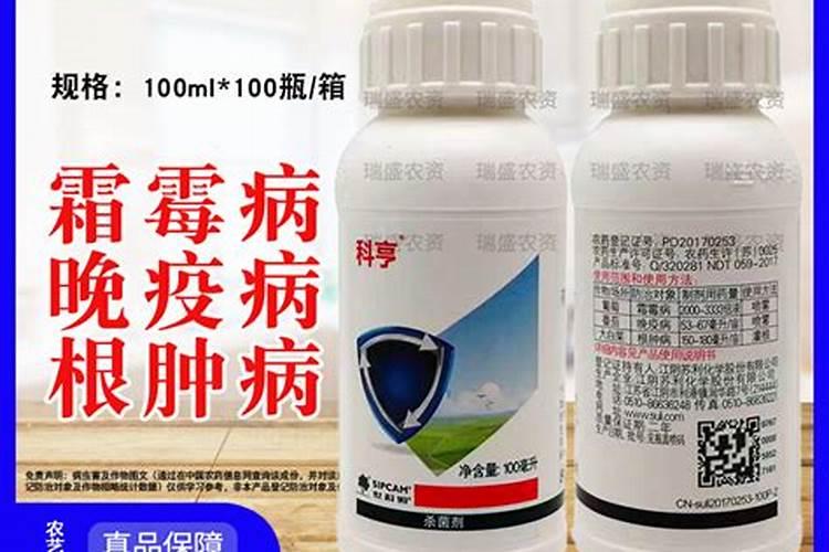 如何去掉小麦种子的红包衣？