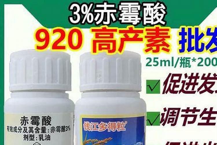 黄杨木放肥料还可以放生根粉吗？