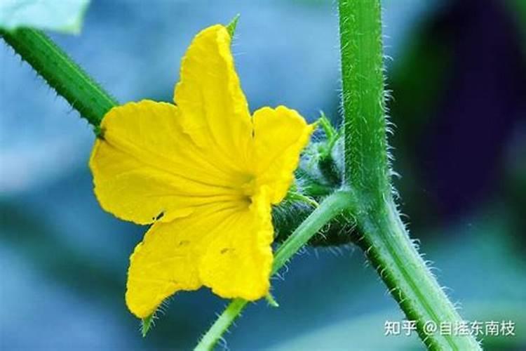 云南磷化工企业排名