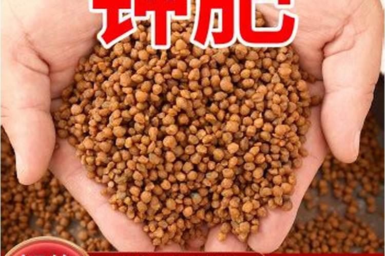 如何治疗水稻白叶枯病