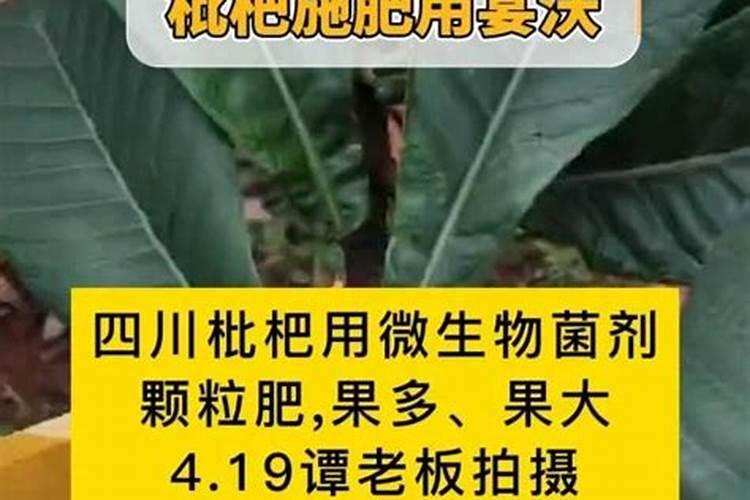 有机肥厂需要什么证件