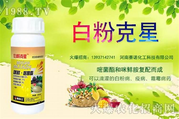 防治水稻稻瘟病特效药