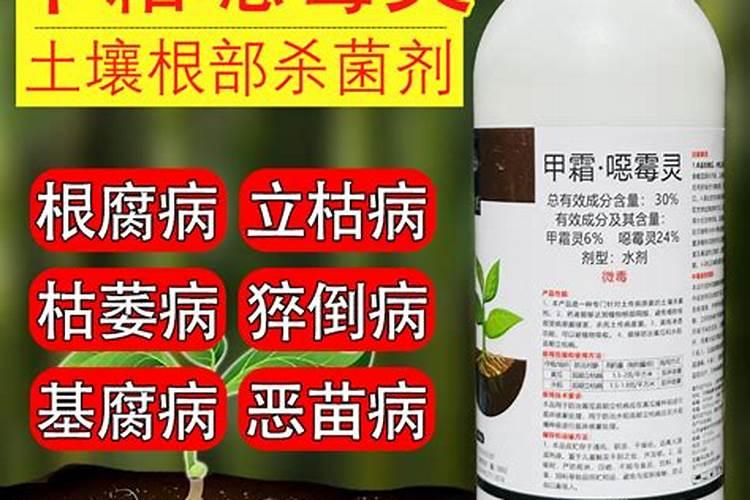 杀树根的特效药
