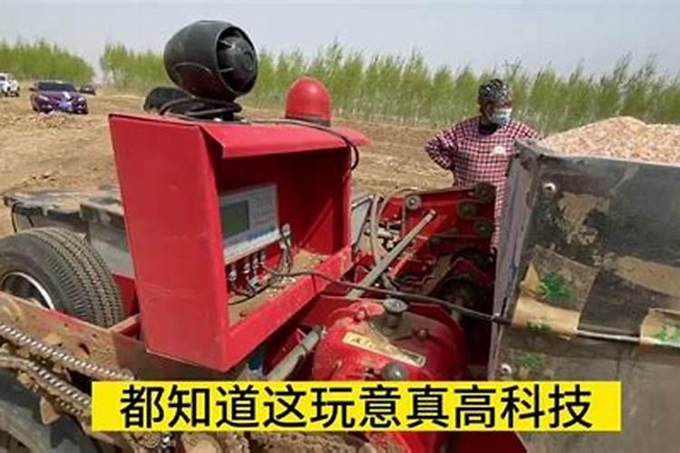东北玉米亩产量一般多少斤正常 种植成本和利润