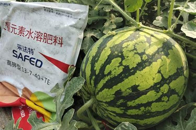 水溶复合肥在西瓜什么阶段使用？