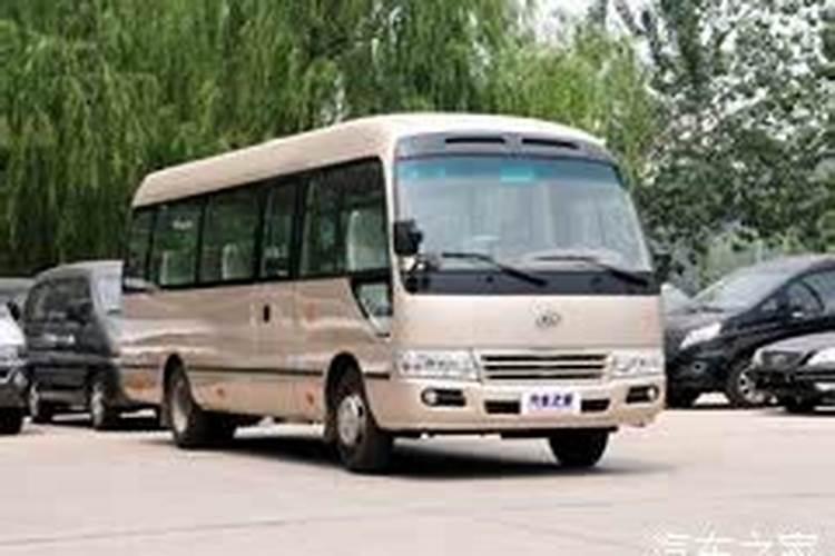 让李子更甜的方法 促进李子增甜技术