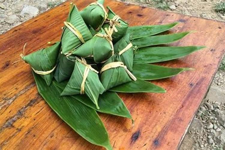 这种植物叫什么名称有什么用