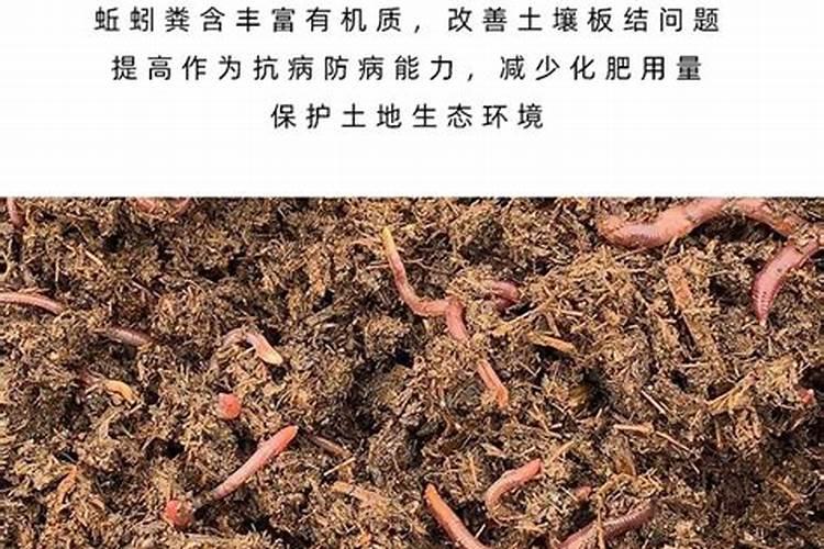 果酸配什么饵料钓鱼最好