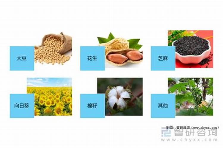 什么是磷肥 磷肥的作用