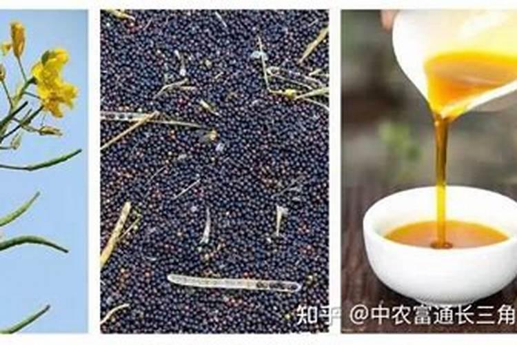 磷肥的作用有哪些？