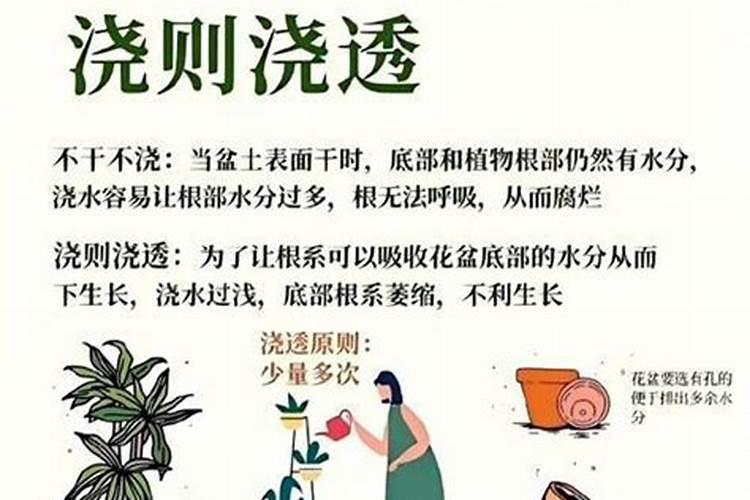 长春宝马4s店售后哪家好