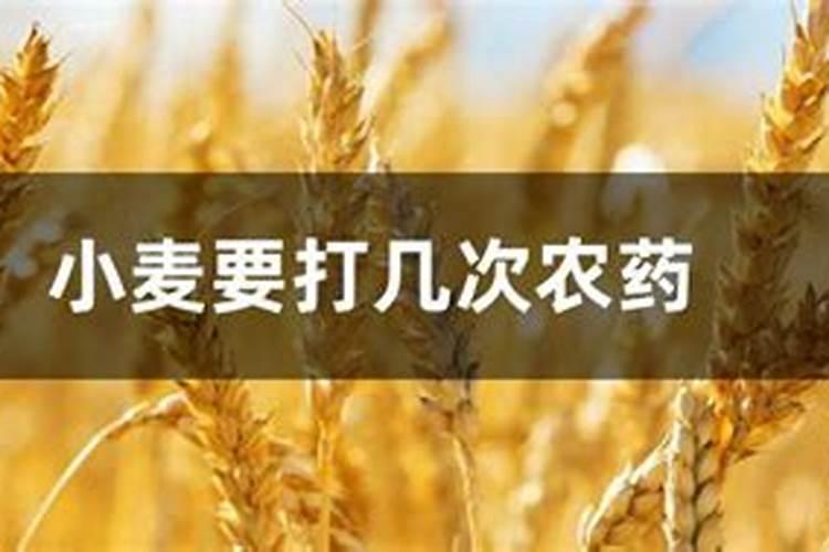 小麦化肥含氮磷钾的量多少最合适