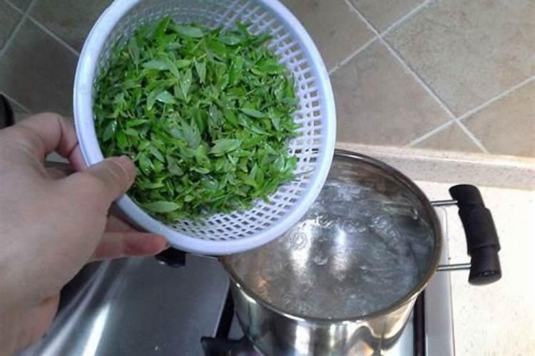 竹柳种植应该注意哪方面？