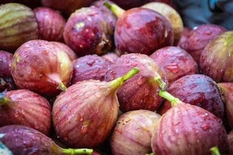 无花果追肥用什么肥料好