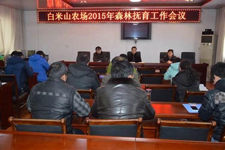 落地生根水肥管理技巧