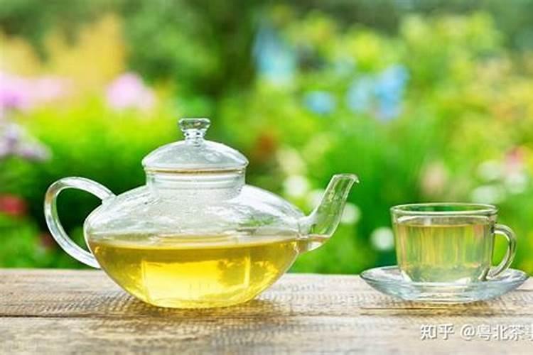 崂山绿茶怎样种植？崂山绿茶的种植条件