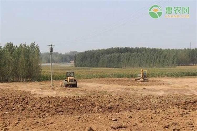 种油菜一亩地要多少肥料