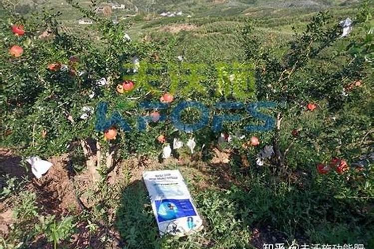 绿豆喷施磷酸二氢钾浓度过高后影响绿豆产量吗？