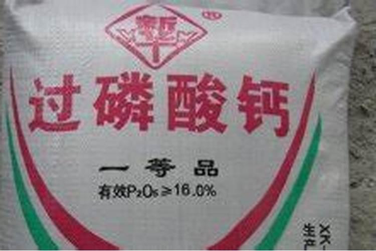 磷肥基肥有哪些