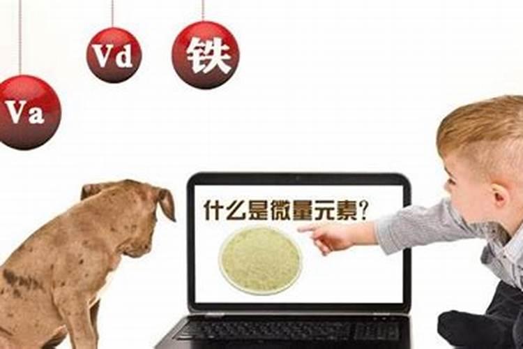 猫咪缺乏微量元素都有哪些表现？如何补充营养所需？