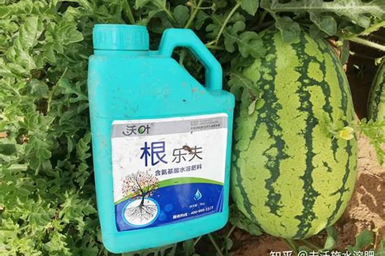 中药材全年用肥注意事项？中药材用什么肥料最好？中药材专用肥料？