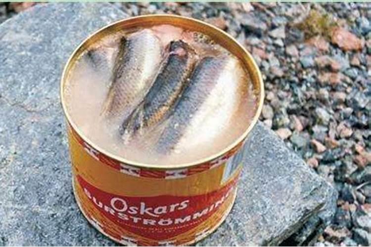 鱼食多久变臭