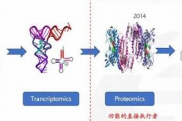 沃利丹多肽氮肥是正规的吗