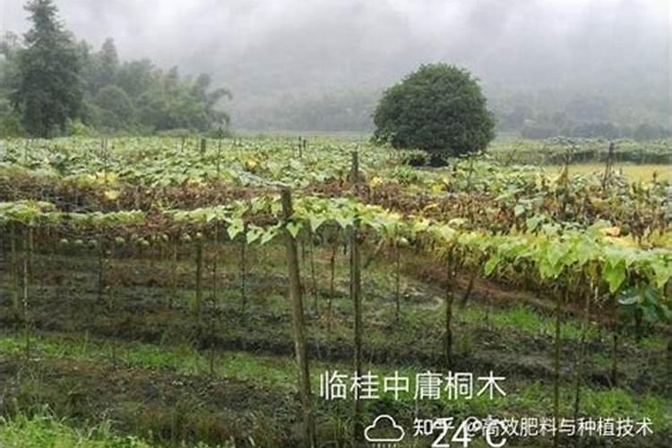 罗汉果可以追施硝酸钾型复合肥料吗？