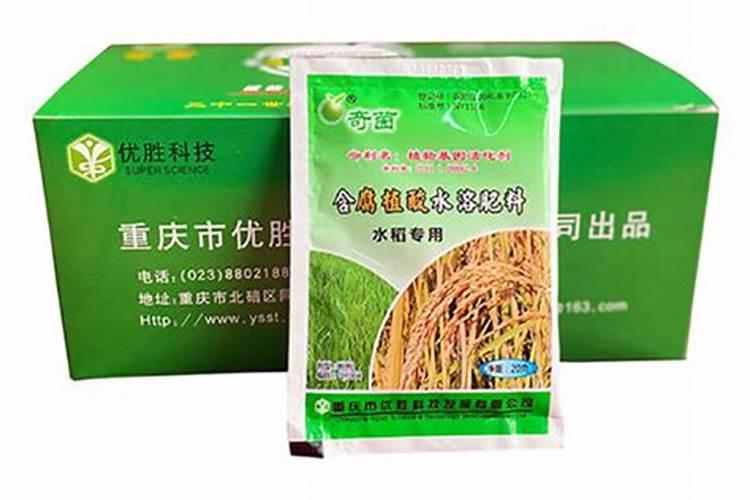 水稻底肥怎么配比